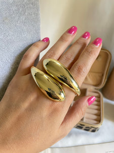 Anillo vint