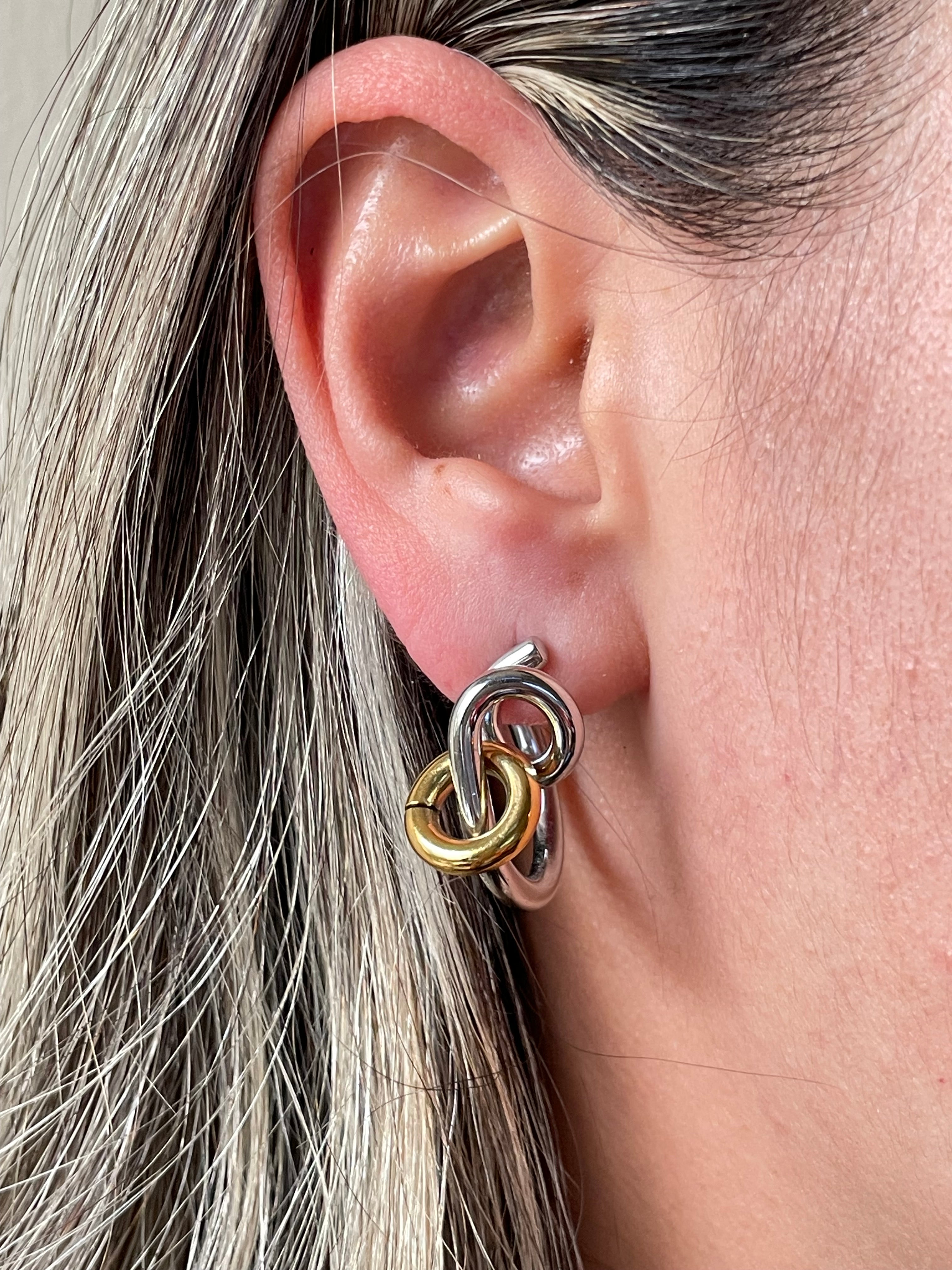 Aretes galax